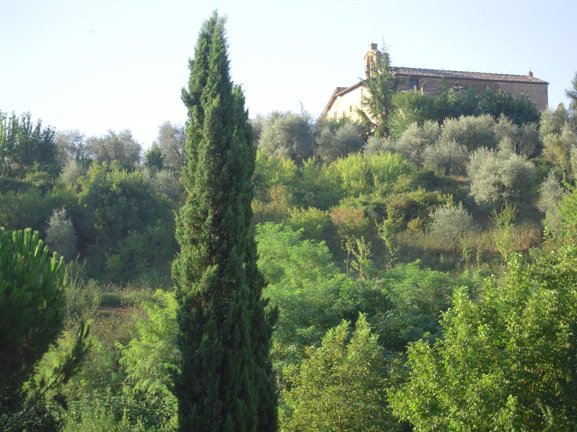 Villa Caprera Сиена Стая снимка