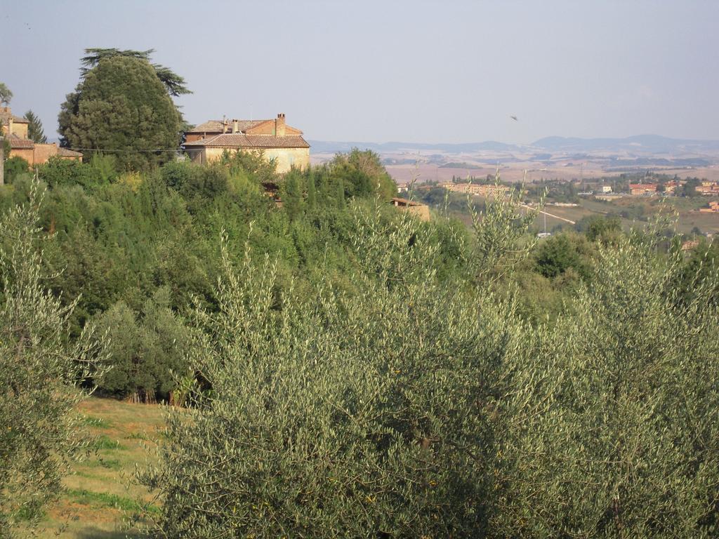 Villa Caprera Сиена Екстериор снимка